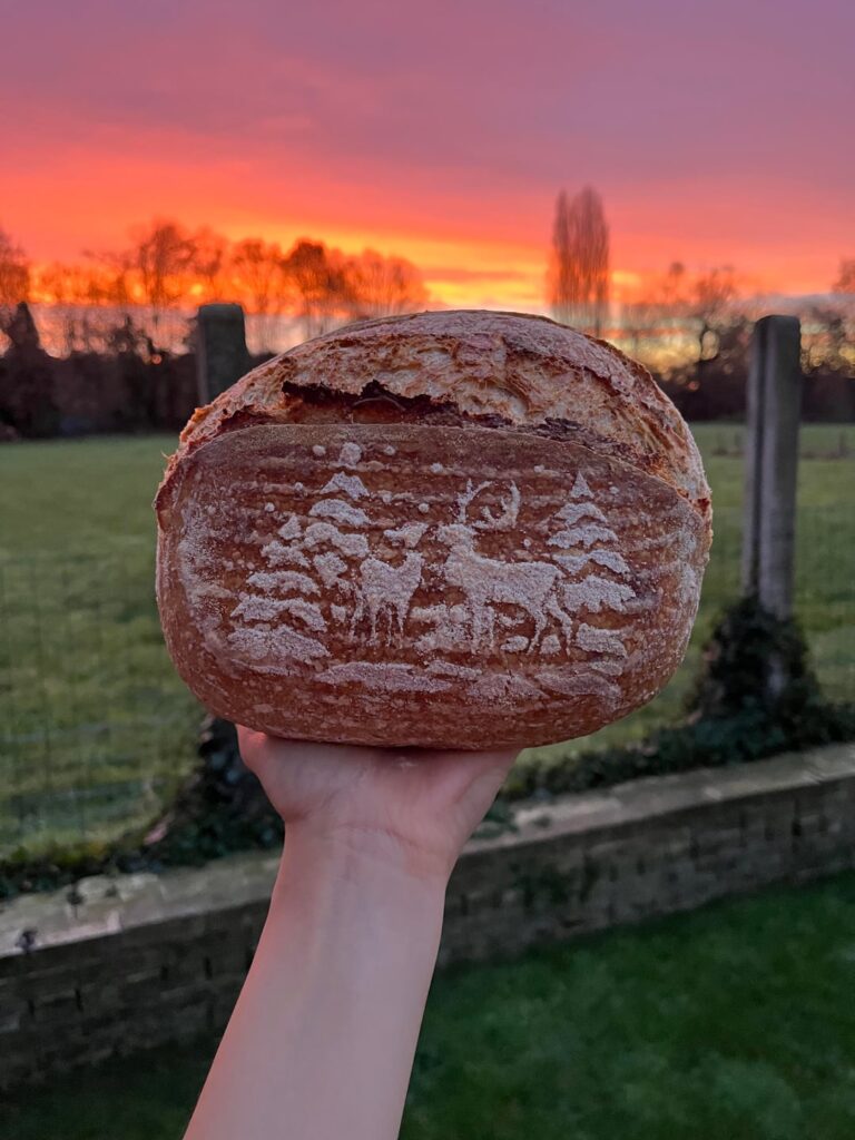 Happy holidays everyone! 🥰 Very pleased with how this loaf turned out