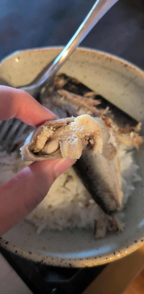 White pellets on TJs sardines