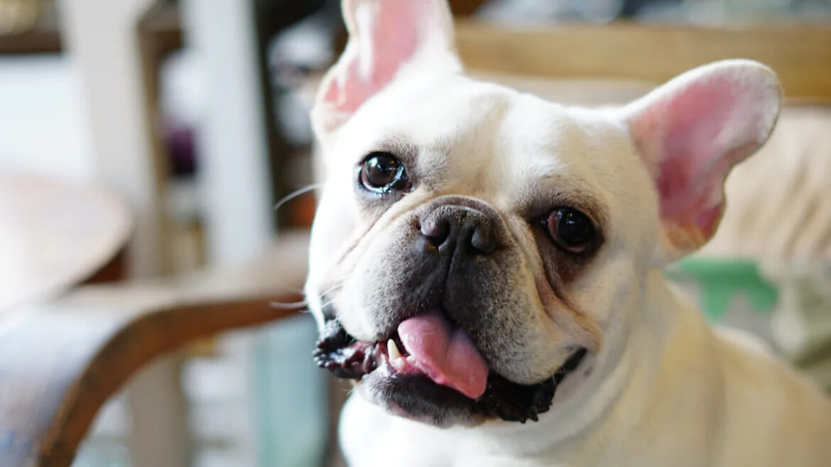 Yahoo lifestyle home