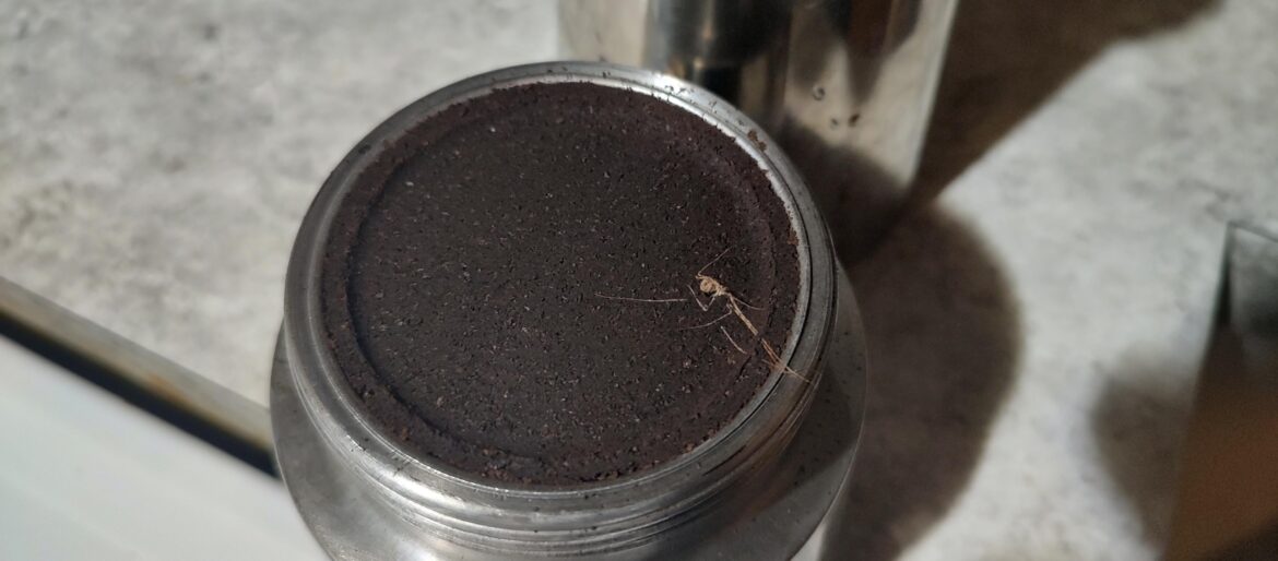 I opened up the moka pot to clean it and...