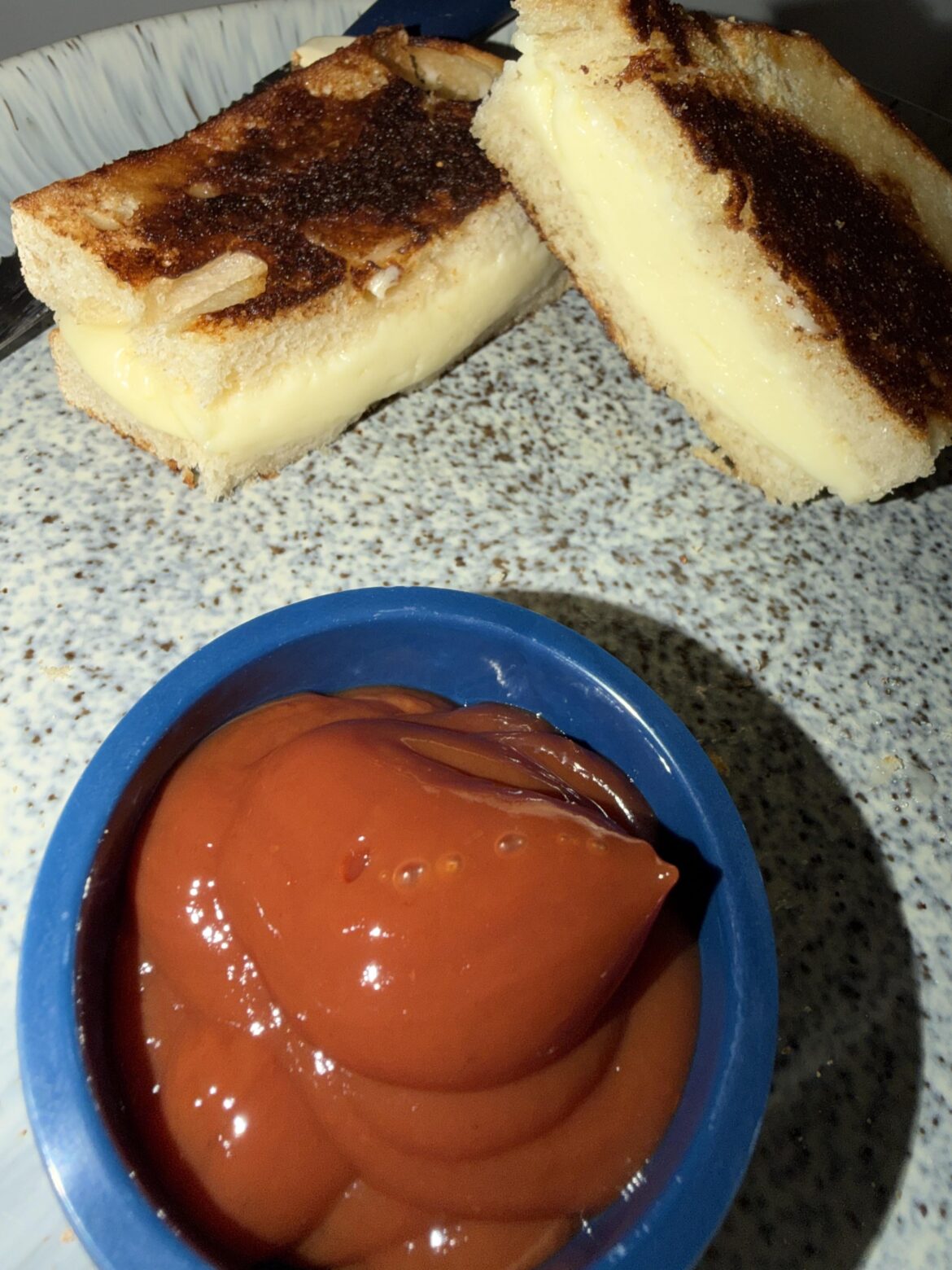 Sourdough bread with cooper cheese