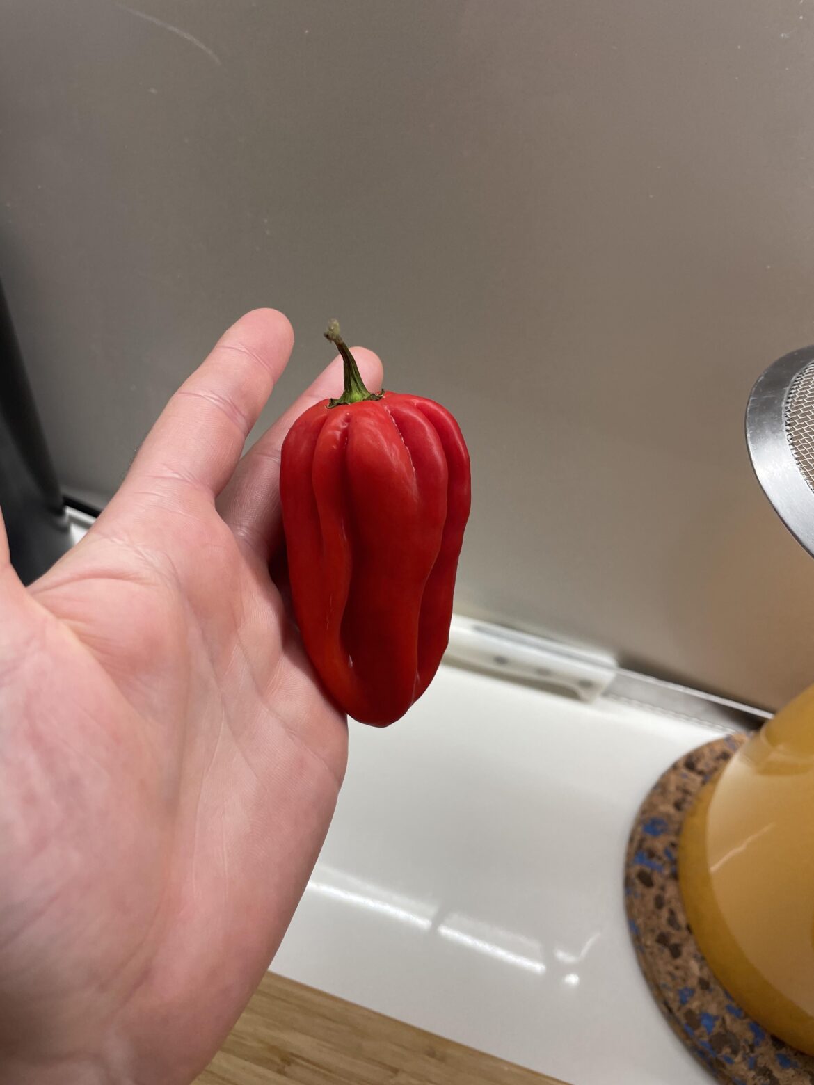 Can someone help identify?