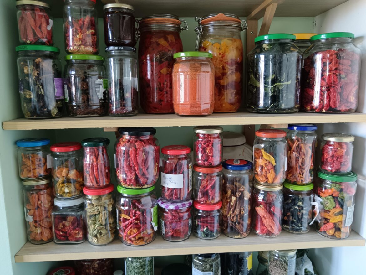My office decor 🌶️ Dried chilies, flakes, powders & sauces