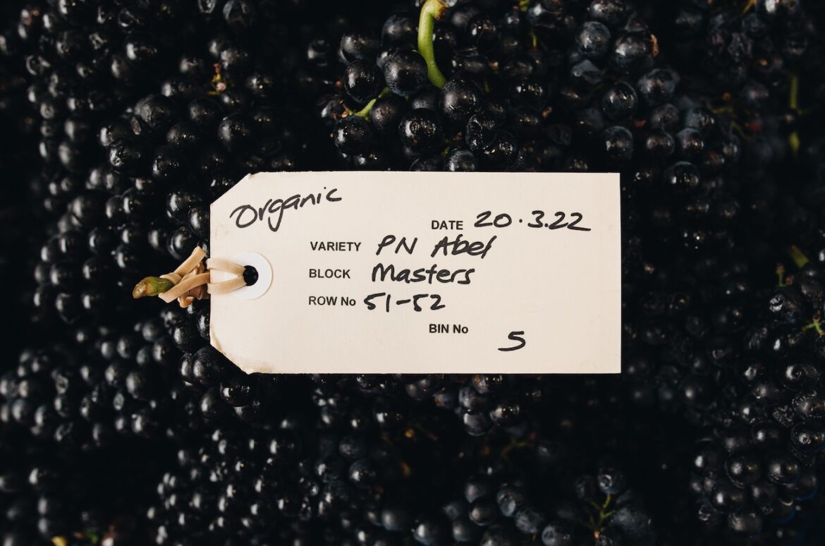 New Zealand Pinot Noir Report 2025
