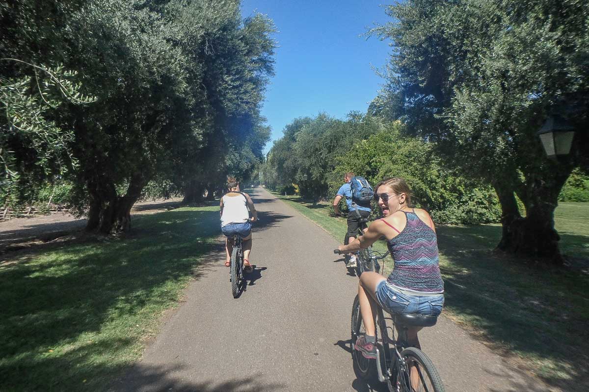 Bailey rides a bike in Mendoza, Argentina