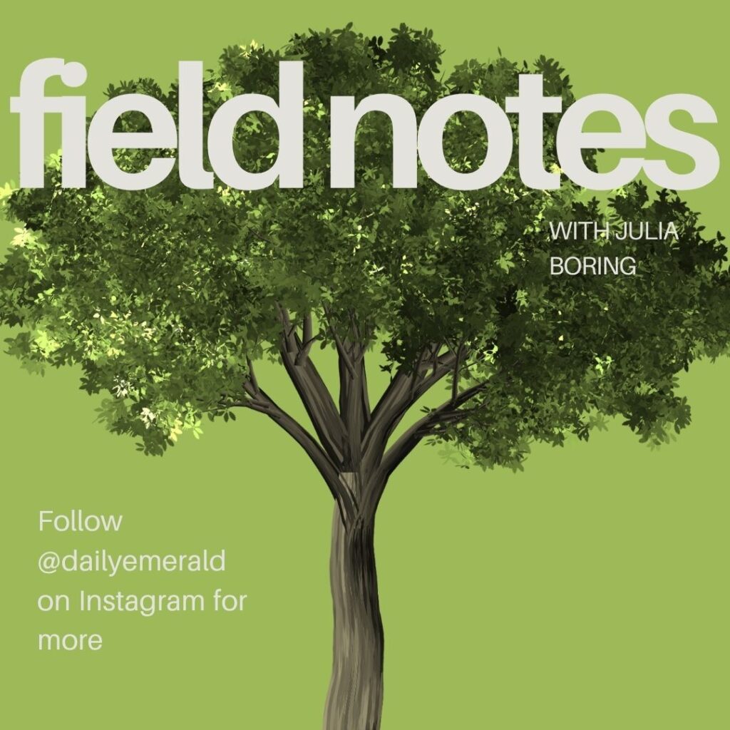 Field Notes: The Wonders of Walking