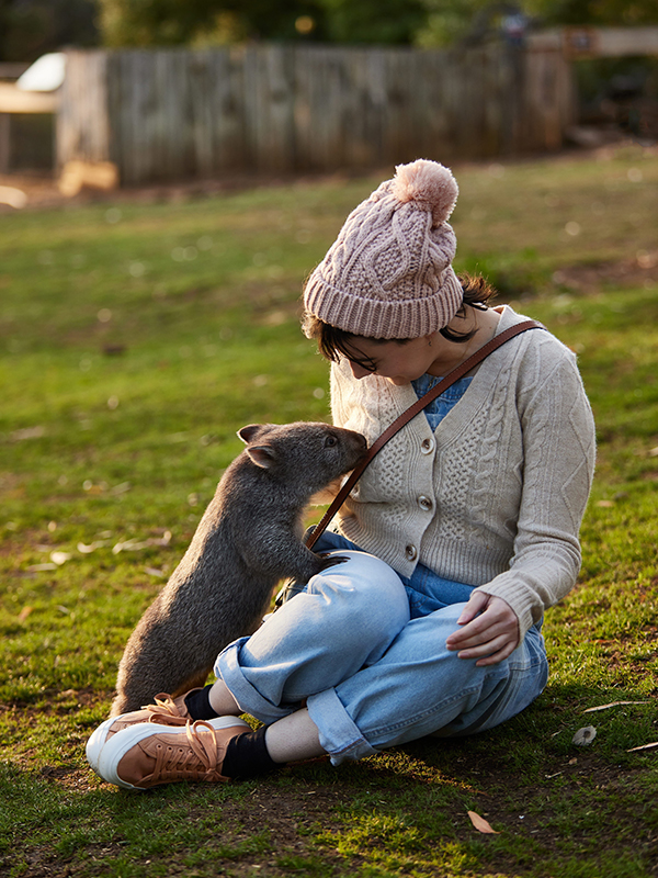 Bonorong is a Sanctuary for wildlife run by a passionate team of like-minded people. We're a social enterprise: a little business with a big heart.