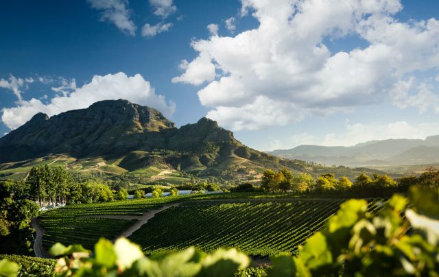 Chardonnay Association of South Africa
