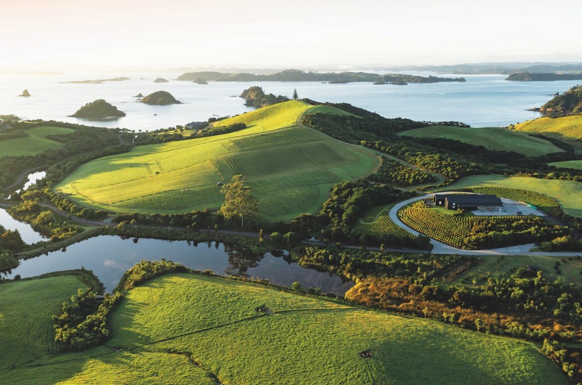 One to watch: The Landing One to watch: The Landing