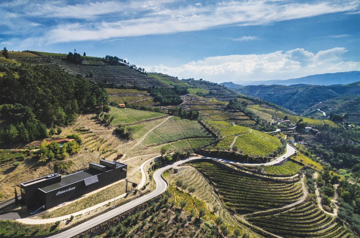 White Port: 18 exciting examples of this versatile wine