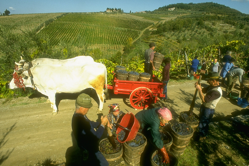 One of the joys of wine is the people who make it One of the joys of wine is the people who make it