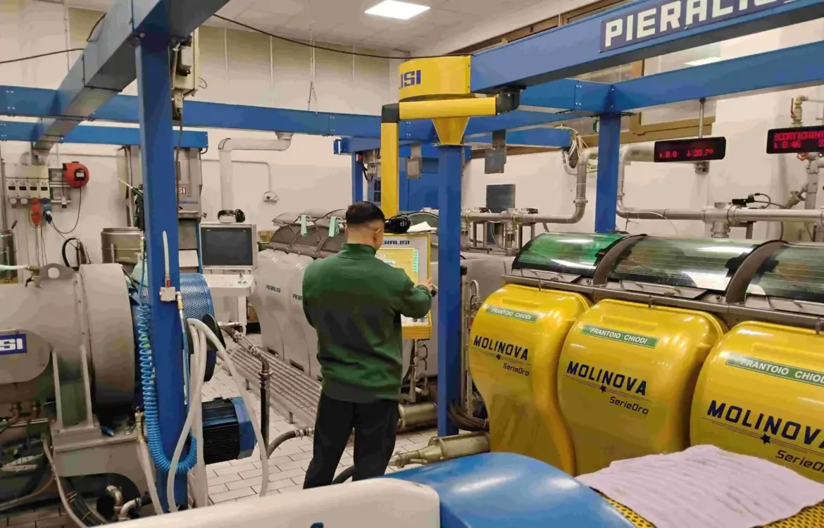 "Millers, guardians of the quality of olive oil, a pillar of Italian cuisine"