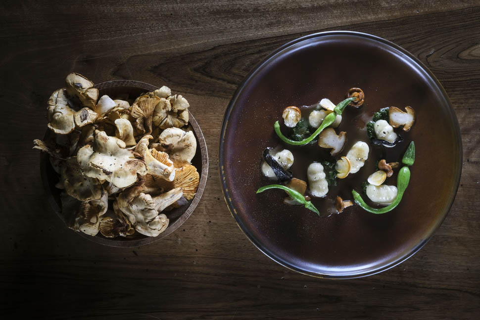 Gnocchi Monnalisa Zucchine dellOrto Funghi Pesto di Levistico