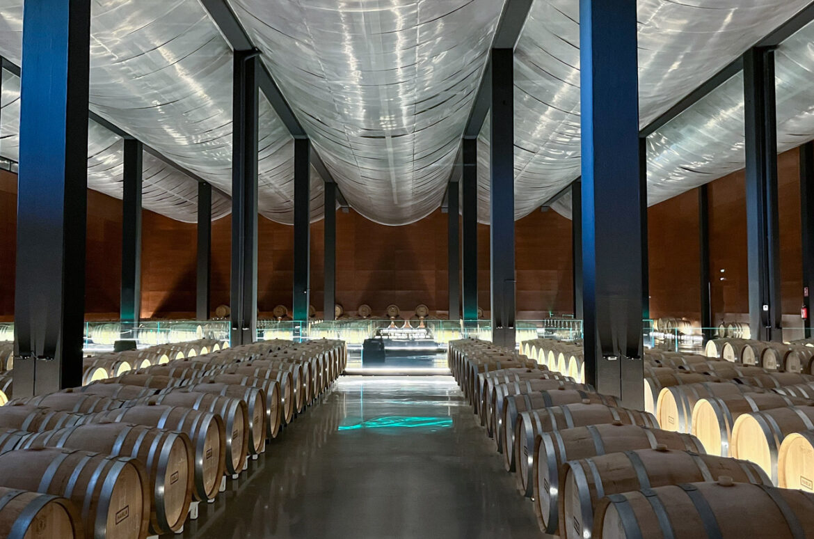 Bodegas HABLA: The bold voice of Extremadura wine