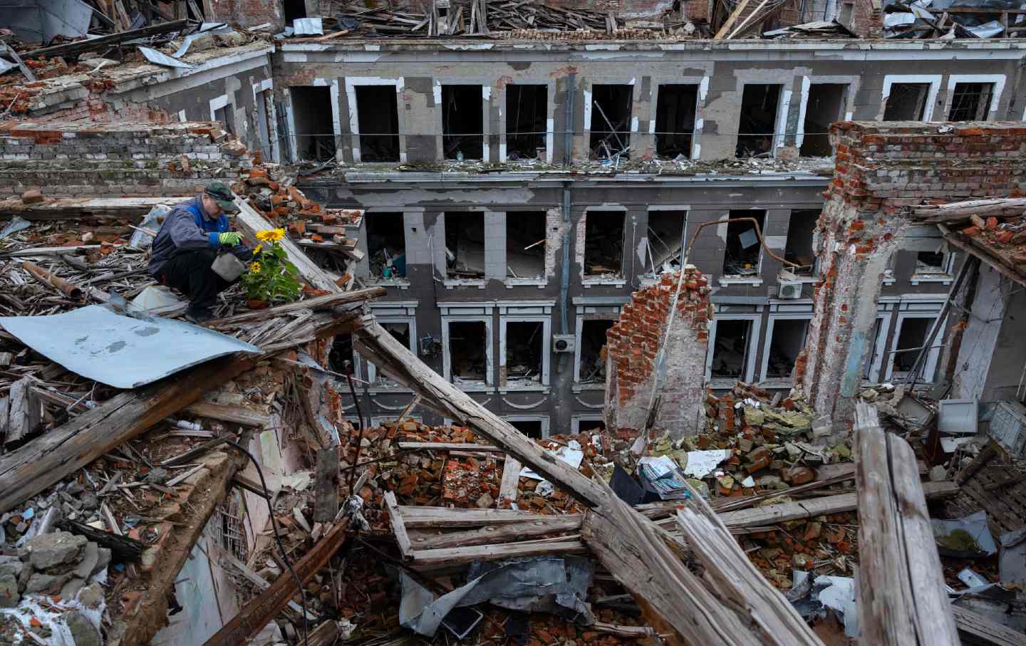 Oleksandr Ibrahimov, 56, a security guard working for 35 years at the House of Trade Unions, finds a sunflower growing amidst wreckage.