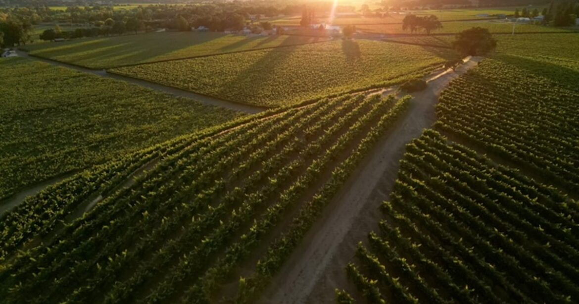 California's wine country welcomes agtech accelerator Reservoir