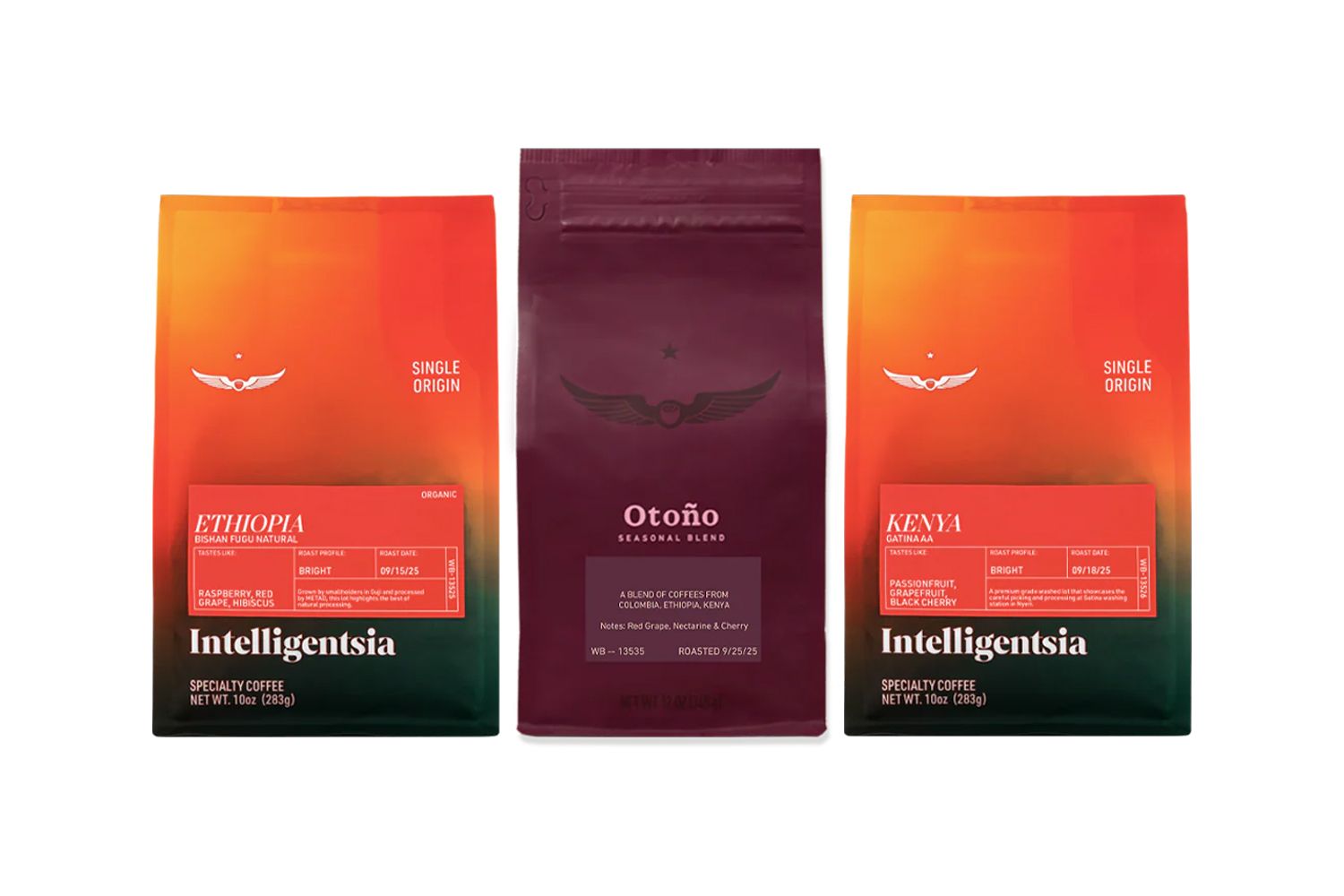 Intelligentsia Coffee Season’s Best Bundle