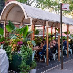 Olea Mediterranean Taverna, 171 Lafayette Ave., Brooklyn, NY 11238. Photo: Re-ply