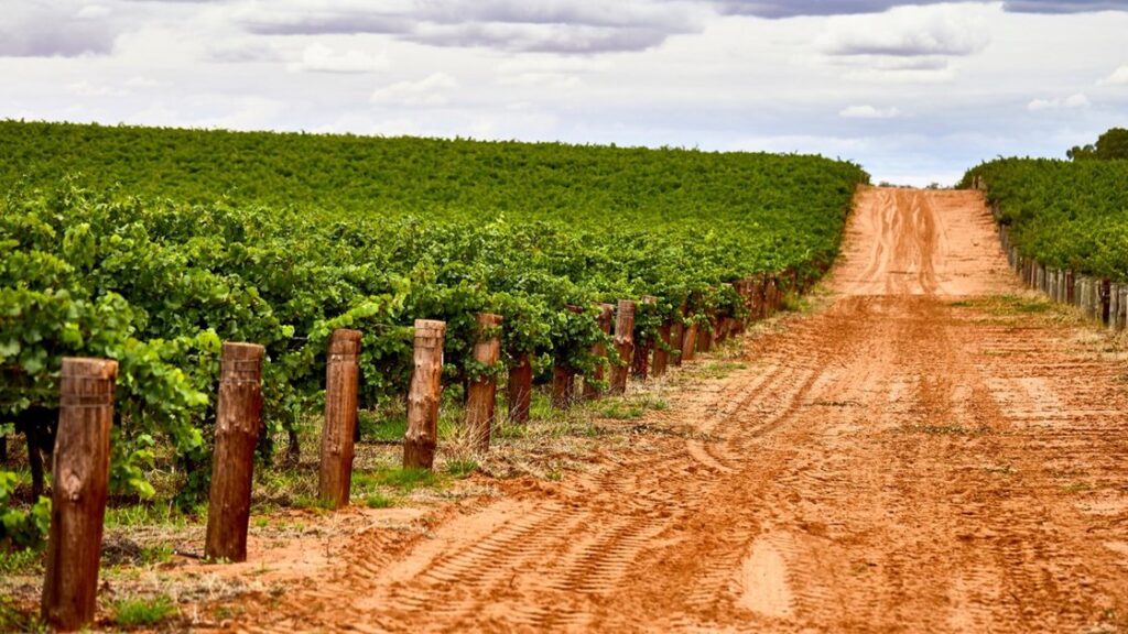 Sustainable Winegrowing Australia restructures with independent governance Sustainable Winegrowing Australia restructures with independent governance