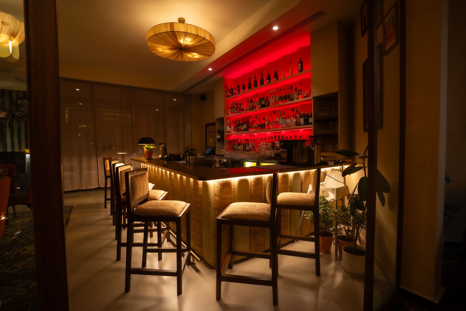 Image may contain Plant Bar Lamp Chair Furniture Architecture and Building