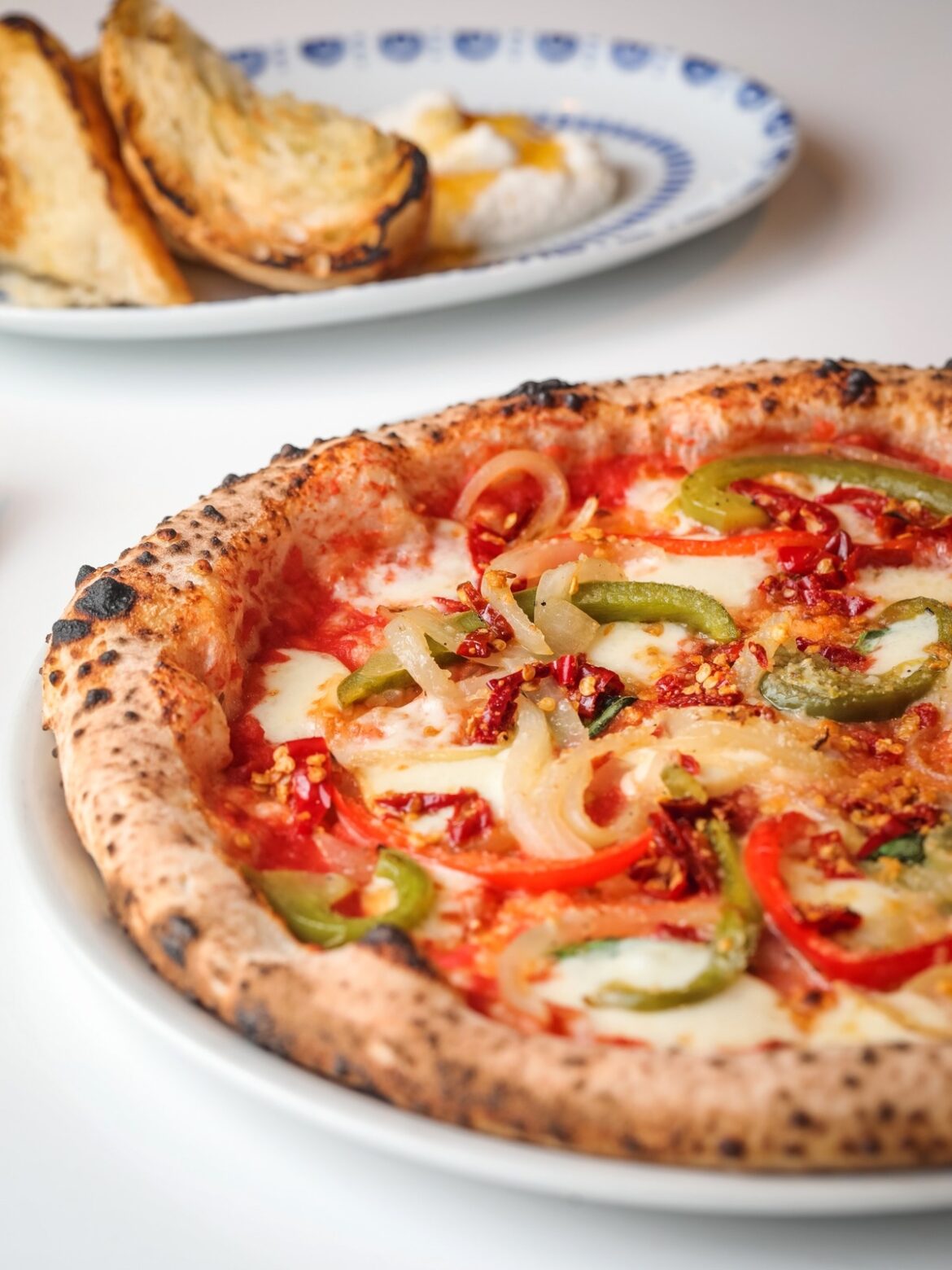 Partenope Going Bigger and Better in Richardson