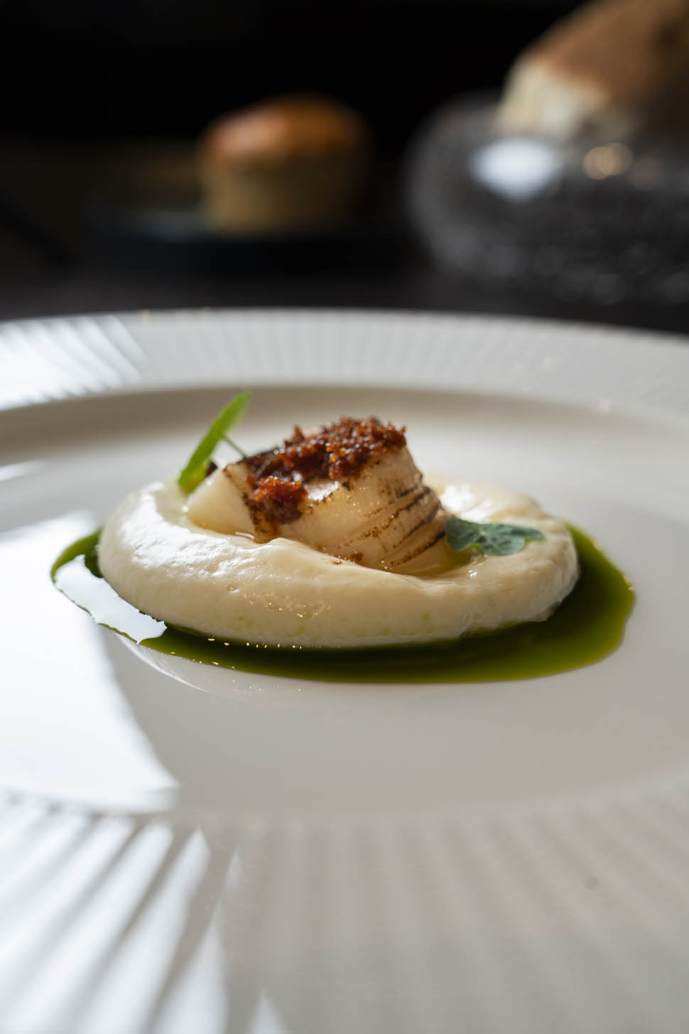 Quattromani sine enigma 52