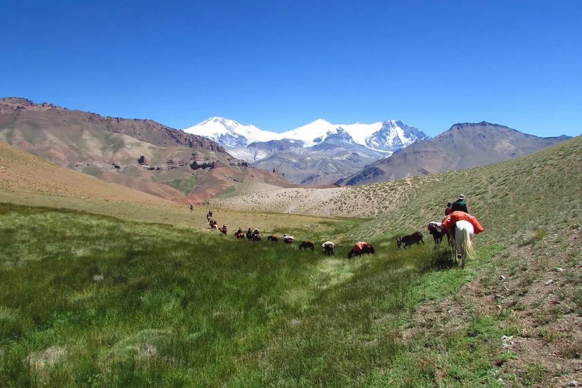 experience the Andes on horseback in Mendoza, Argentina