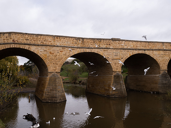 Richmond is a picture-perfect town in the Coal River Valley wine region, offering a glimpse into early colonial life, one of the best day trips from Hobart.