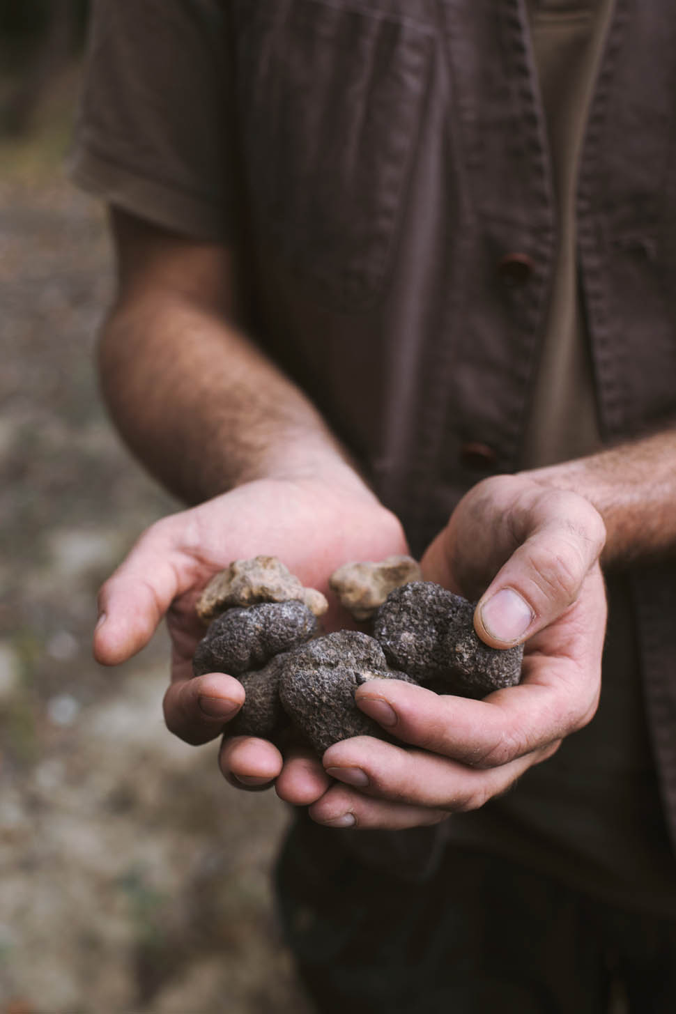 Rosewood Castiglion del Bosco Tartufo 2