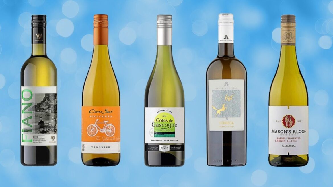 The 20 best cheap wines for expensive tastes – including a £5.99 Italian white