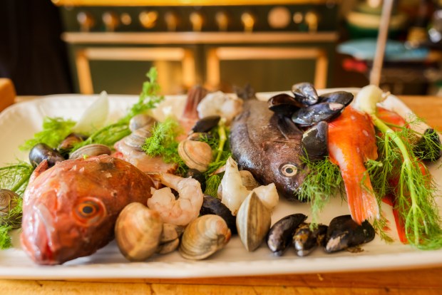 Fish, shrimp, clams, mussels, and fennel are some of the ingredients used by Georgeanne Brennan to prepare a West Coast Bouillabaisse at her home in Winters, Calif., on Friday, Nov. 21, 2025. (Ray Chavez/Bay Area News Group)