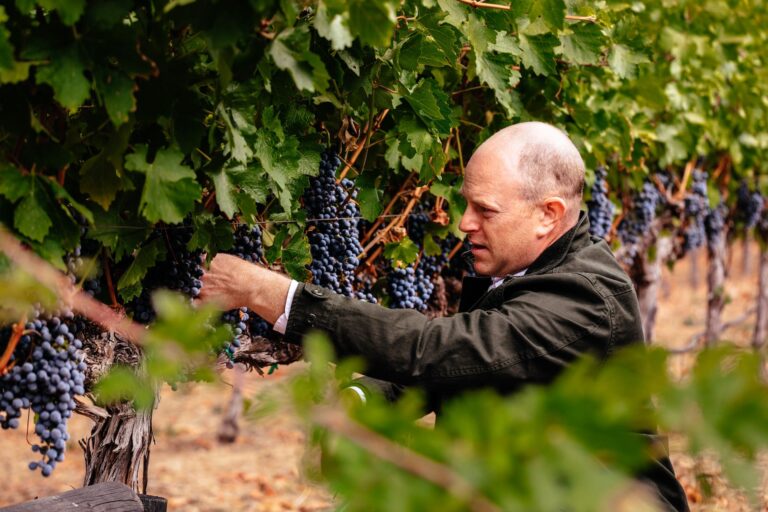 A shot of Sean McBride inspecting a bundle of deep-purple grapes on the vine, with an out-of-focus branch of leaves in the foreground.