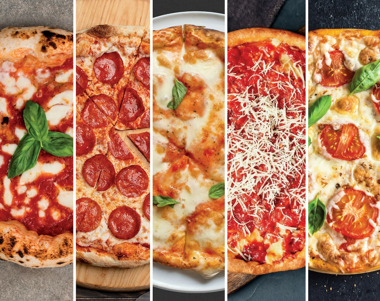 Ninja Artisan Outdoor Pizza Oven