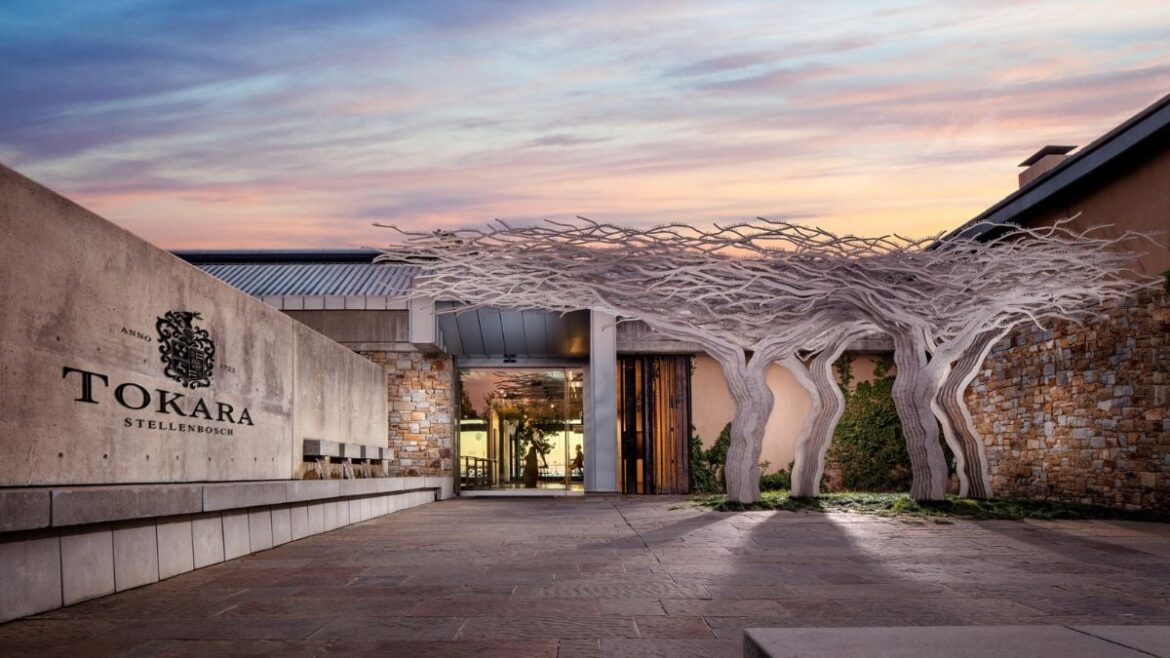 The billionaire-founded South African wine estate that ranks among the best in the world – Daily Investor