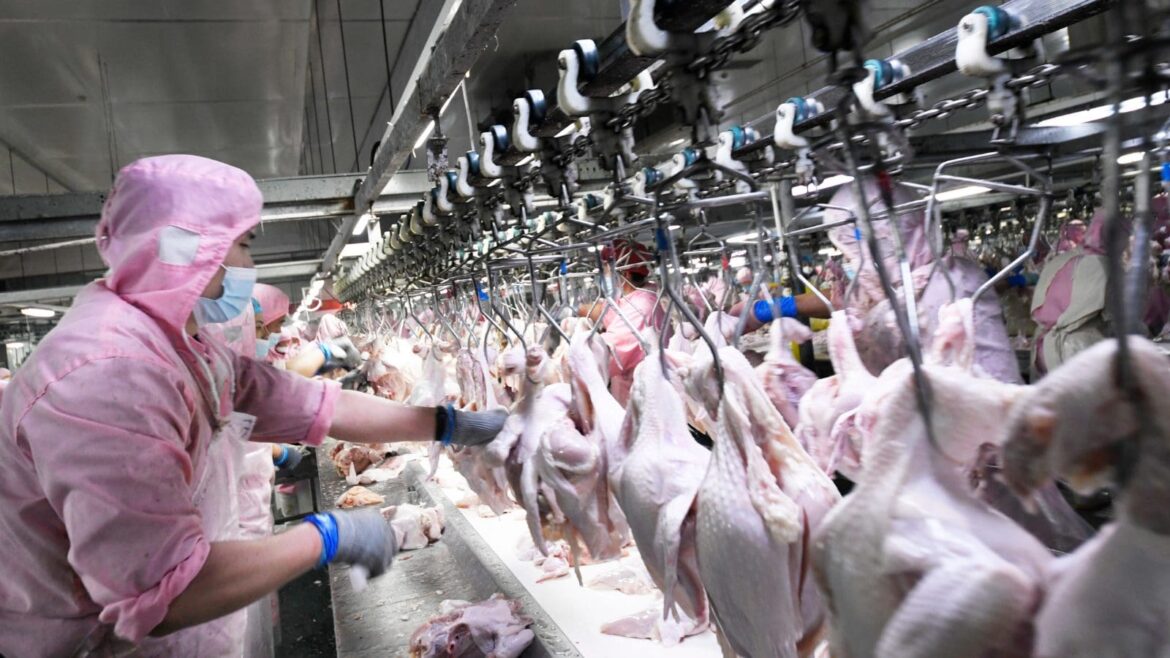 French poultry group LDC acquires majority stake in UK’s Gressingham Foods | Food Business Middle East & Africa French poultry group LDC acquires majority stake in UK's Gressingham Foods | Food Business Middle East & Africa