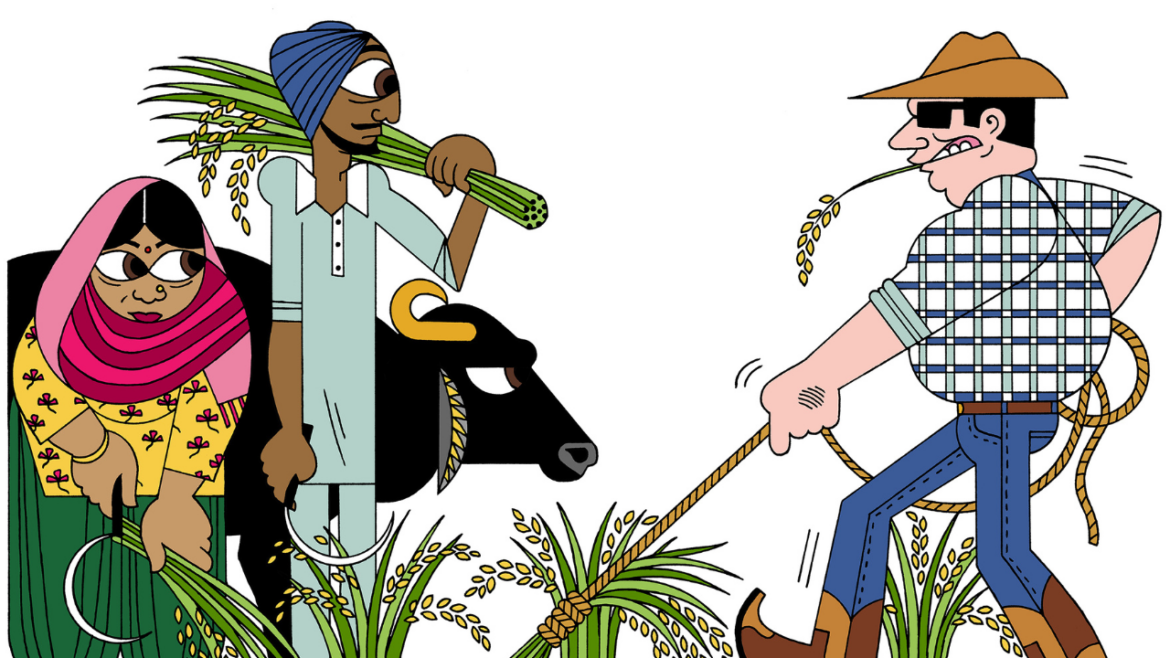 Barolo to basmati, when taste meets terroir Barolo to basmati, when taste meets terroir