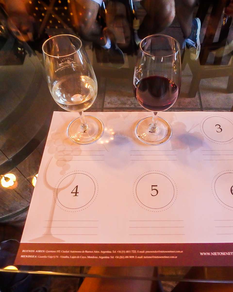 Wine tasting in Mendoza, Argentina