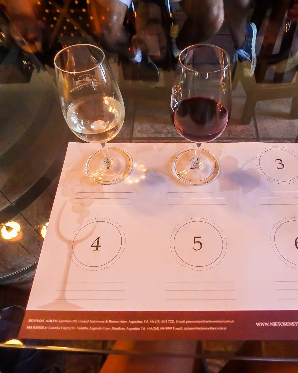 Wine tasting in Mendoza, Argentina