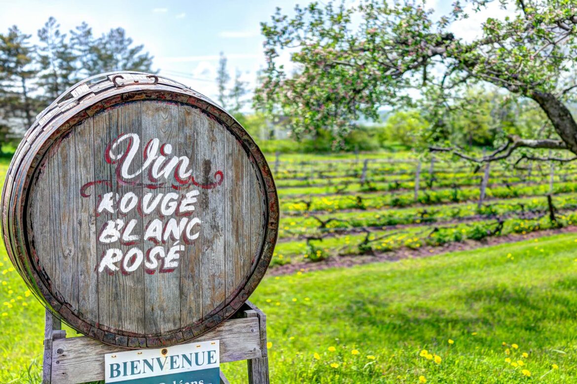 Quebecers are drinking less red wine. That’s good news for Quebec