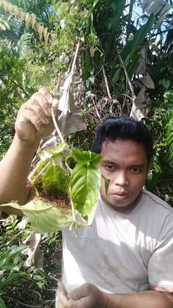 Humans 69 billion years ago