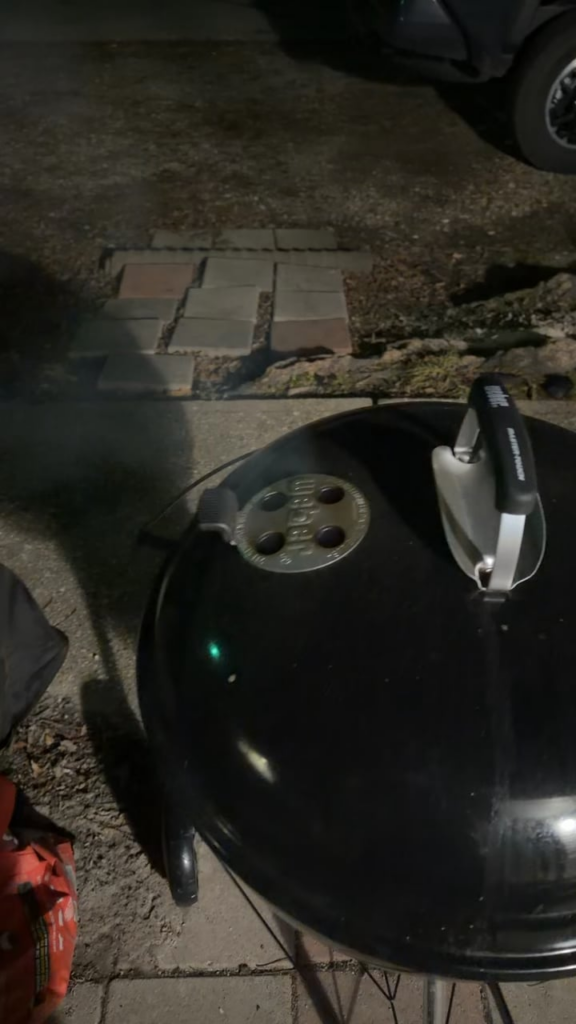 Simple frozen burgers for tonight