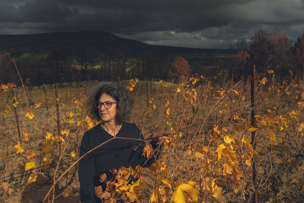 Post Wildfire, Southern France Wine Growers Look to Diversifying Farming Post Wildfire, Southern France Wine Growers Look to Diversifying Farming