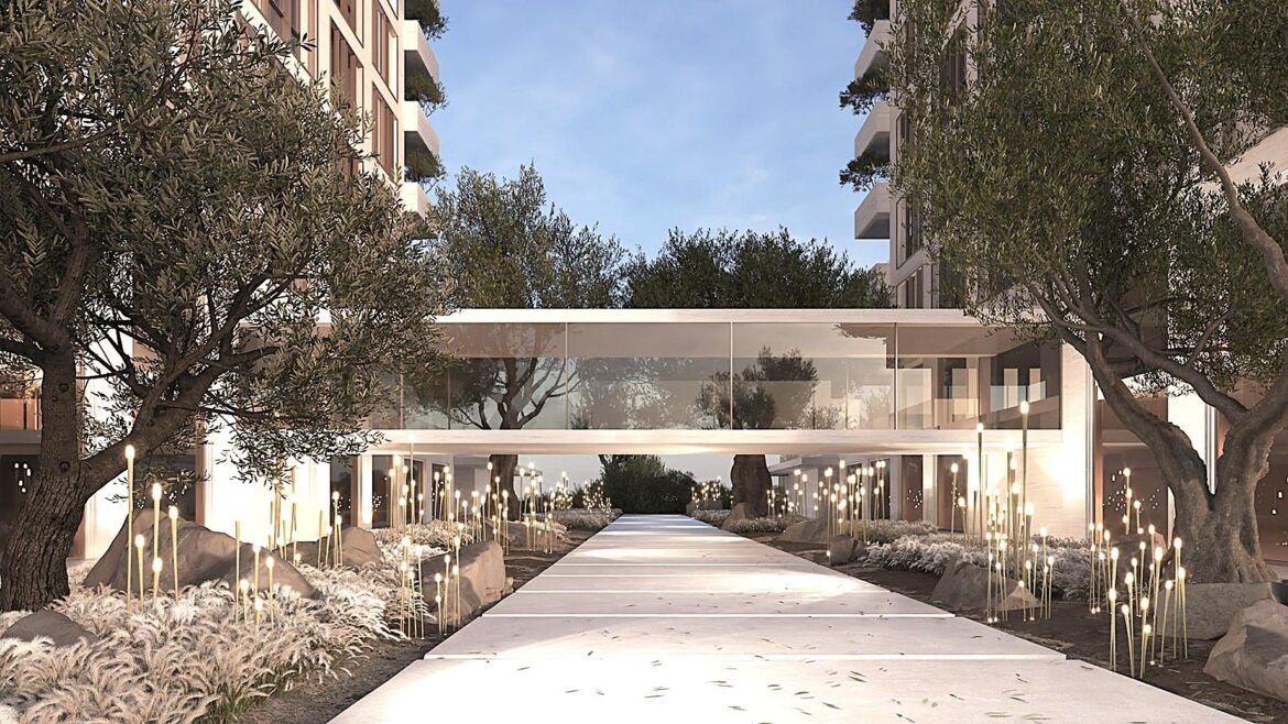 Dubai developer uproots ancient Italian olive trees, $270,000 USD each for "eco" project