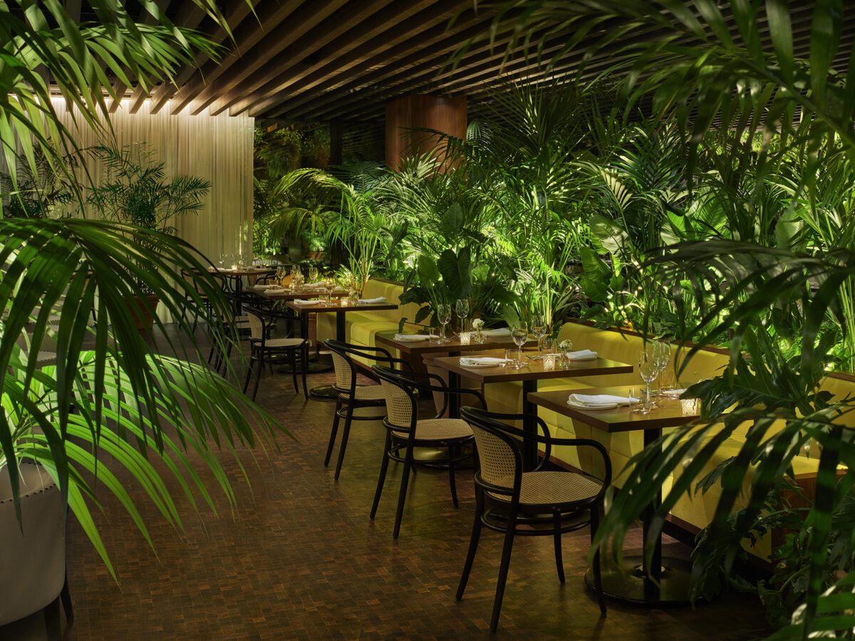 The dining terrace at Ardor.