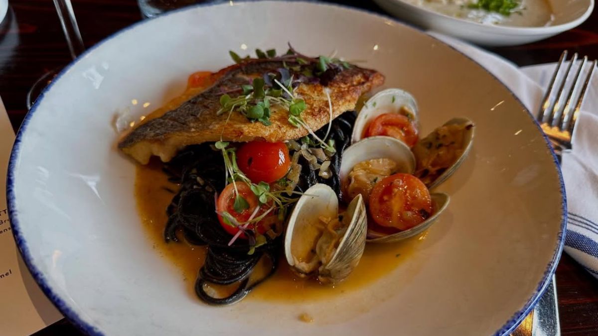 Avo notified that it will close down on December 23.