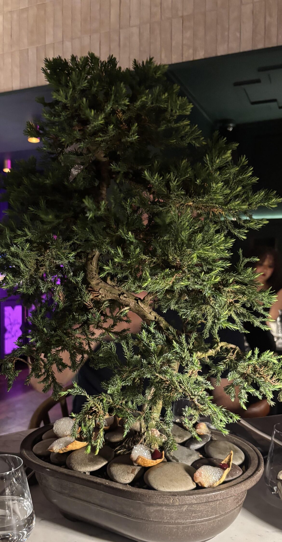 The welcome dish that was served to me last night..