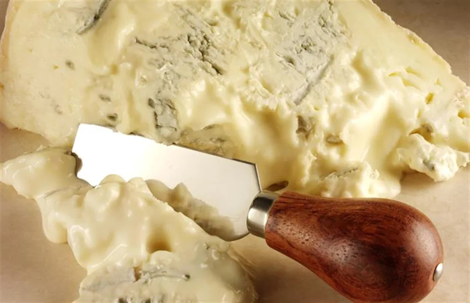 <p>CKP1001/Shutterstock</p>