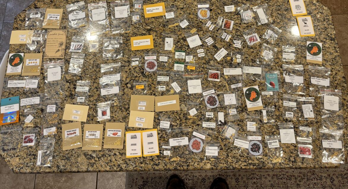 Thank you so much to the organizers and everyone that participated this year!