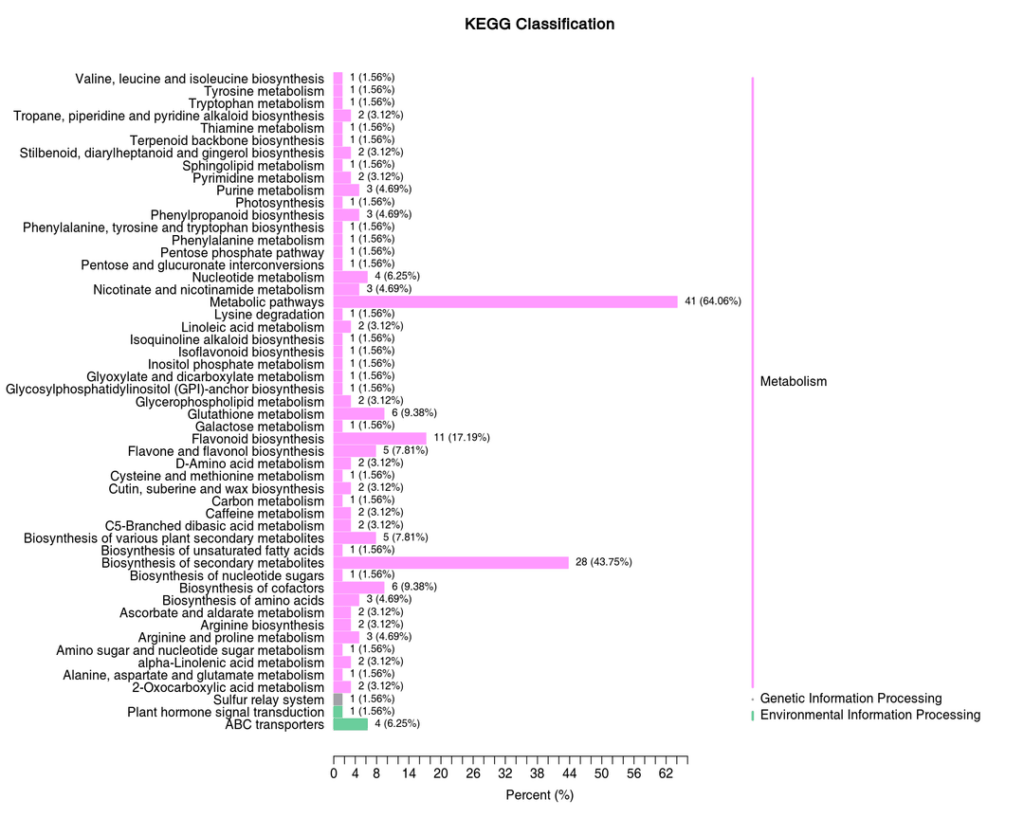We Dosed our Tomatoes With a Purified Microbial Extract and Got Some Cool Results!