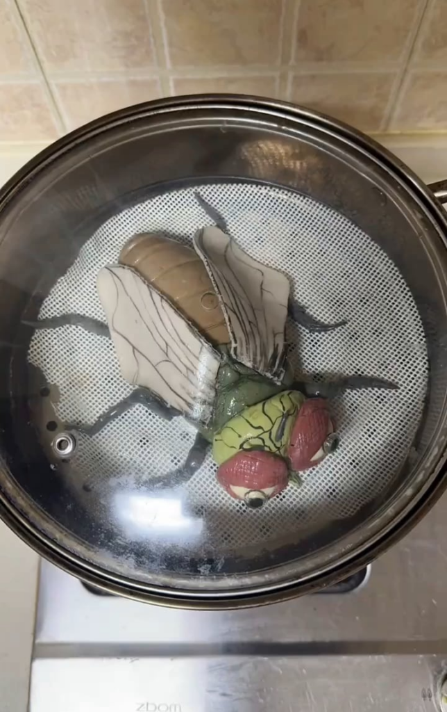 imagine this is your lunch